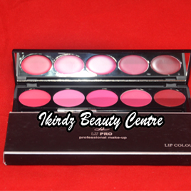 mekap-01-lip-pallete-LTpro-lipstick-makeup-mekap-solekan-pengantin-nikah-photoshoot-kelas-kecantikkan